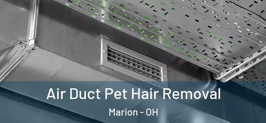  Air Duct Pet Hair Removal Marion - OH