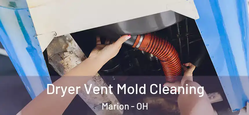  Dryer Vent Mold Cleaning Marion - OH