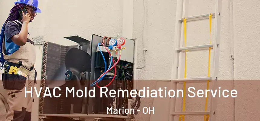  HVAC Mold Remediation Service Marion - OH