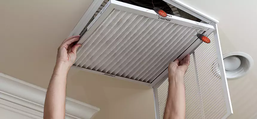 Preventive Cockroach-Proofing for Ducts in Marion