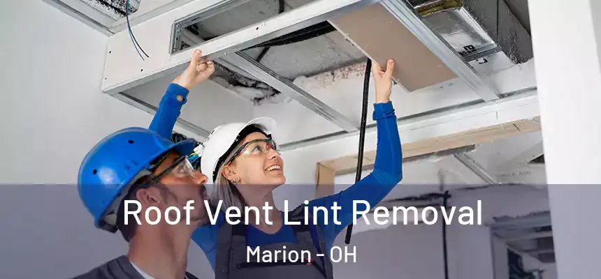 Roof Vent Lint Removal Marion - OH