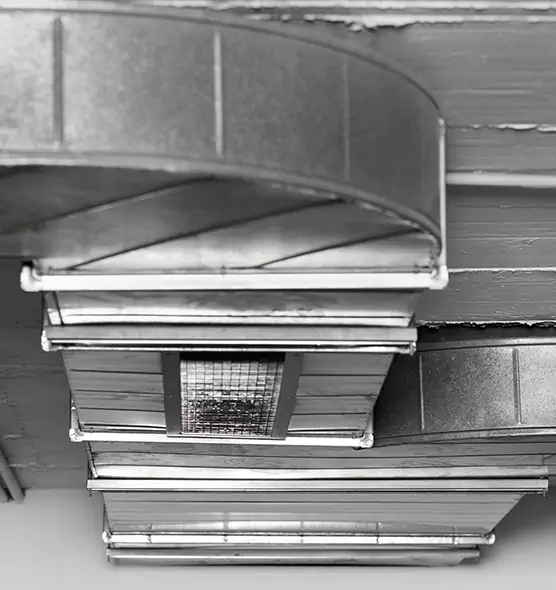 Professional Air Duct Pet Hair Removal in Marion, OH