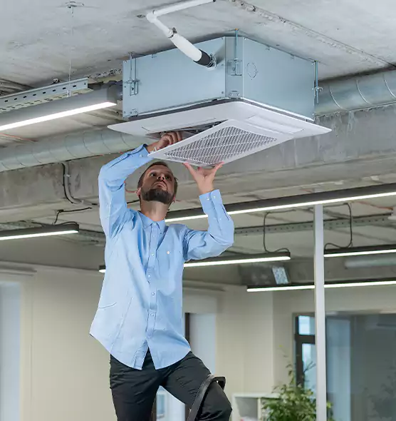 Advanced Rodent Droppings In Vents in Marion, OH