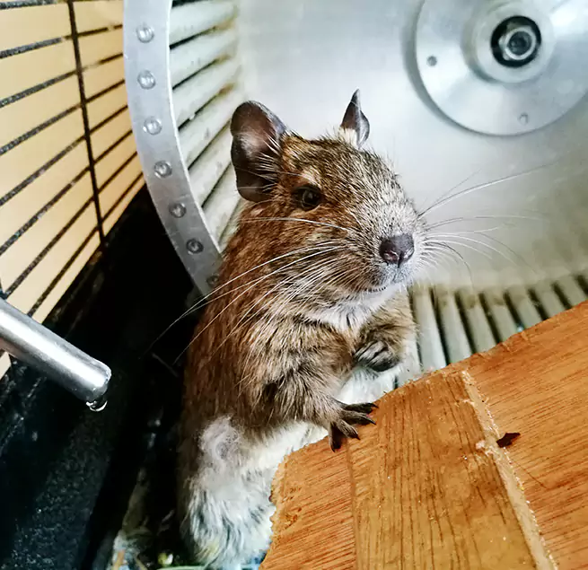 Why Homeowners & Businesses Trust Us Marion, OH?